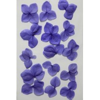 網繡球花-524色-押花花材