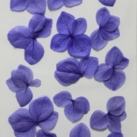 網繡球花-524色-押花花材