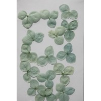 網繡球花-526色-押花花材