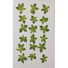 金翠花花朵-綠色-押花花材