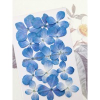 繡球花-藍白色-押花花材