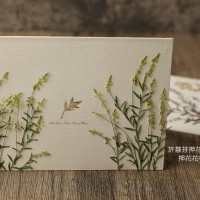 星點草-檸檬綠色-押花材料