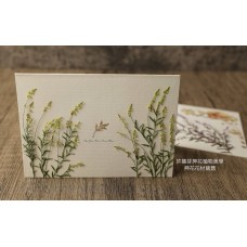 星點草-檸檬綠色-押花材料