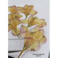 水仙-古董色-押花花材