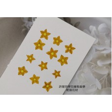 小金英花-原色- 押花花材 