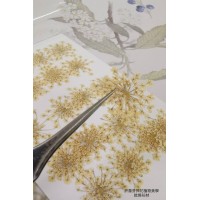 蕾絲花-古董白色- 押花花材