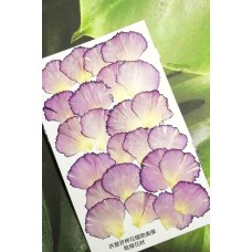 康乃馨花瓣-淺紫紅色-押花花材