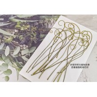 西番蓮鬚-原色-押花花材