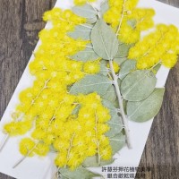 合歡花-原色-押花花材