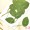 金翠花葉片-綠色-押花花材