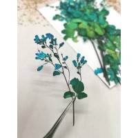 唐松芽-藍色- 押花花材