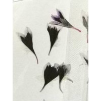 矢車菊-深紫白-押花花材