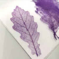 網葉-橡樹葉-葡萄紫-押花材料