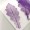 網葉-橡樹葉-葡萄紫-押花材料