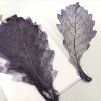 網葉-橡樹葉-黑色-押花材料