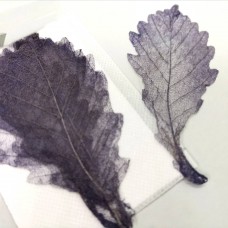 網葉-橡樹葉-黑色-押花材料