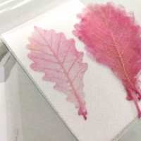 網葉-橡樹葉-膚粉紅-押花材料