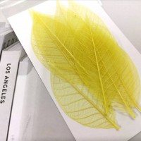 網葉-金剛葉-黃色-押花材料