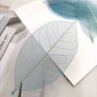網葉-金剛葉-湖藍色-押花材料