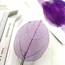 網葉-金剛葉-紫色-押花材料