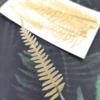 美白系葉-蕨類-鵝黃色-押花材料