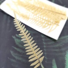 美白系葉-蕨類-鵝黃色-押花材料