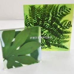 許慧芬田園押花的特色