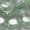 12mm扁圓形珠-冰晶草原綠-6個