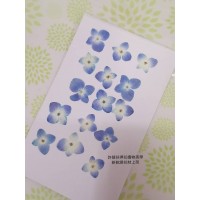 繡球花-藍白色-押花花材