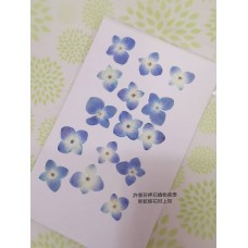 繡球花-藍白色-押花花材