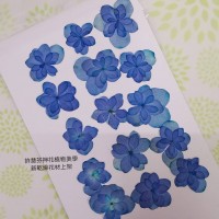 繡球花-押花花材-複瓣寶藍色