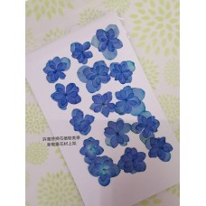 繡球花-押花花材-複瓣寶藍色