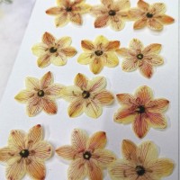 伯利恆之星-淡黃紅色-押花花材