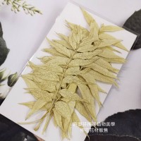花丘葉-淡黃白色-押花花材