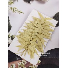 花丘葉-淡黃白色-押花花材