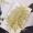 花丘葉-淡黃白色-押花花材