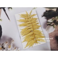 花丘葉-淡黃色-押花花材