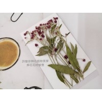 一點紅-原色-押花花材