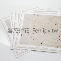 手鈔紙系列杯墊B式