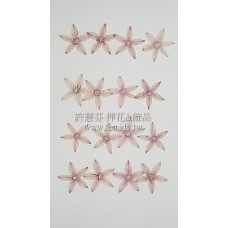 繁星花-淺紅色