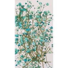 滿天星-天藍色帶枝-押花花材