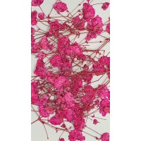 滿天星-紅色帶枝-押花花材