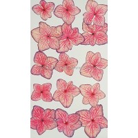 繡球花_線邊粉紅色