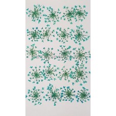 蕾絲花-淡天藍色