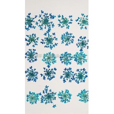 蕾絲花-深天藍色