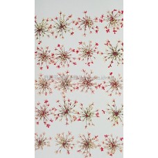 蕾絲花-淡粉紅色