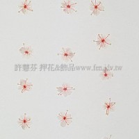 翠珠花-淡粉紅色