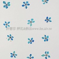 翠珠花-中寶藍色