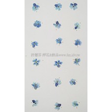 翠珠花-淡寶藍色