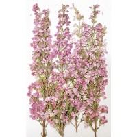 愛麗佳串-粉紅色